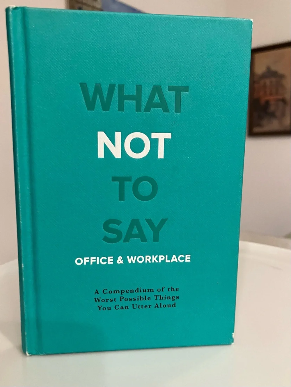 What Not to Say: Office & Workplace Hardcover NEW & READY TO GIFT TO COWORKER